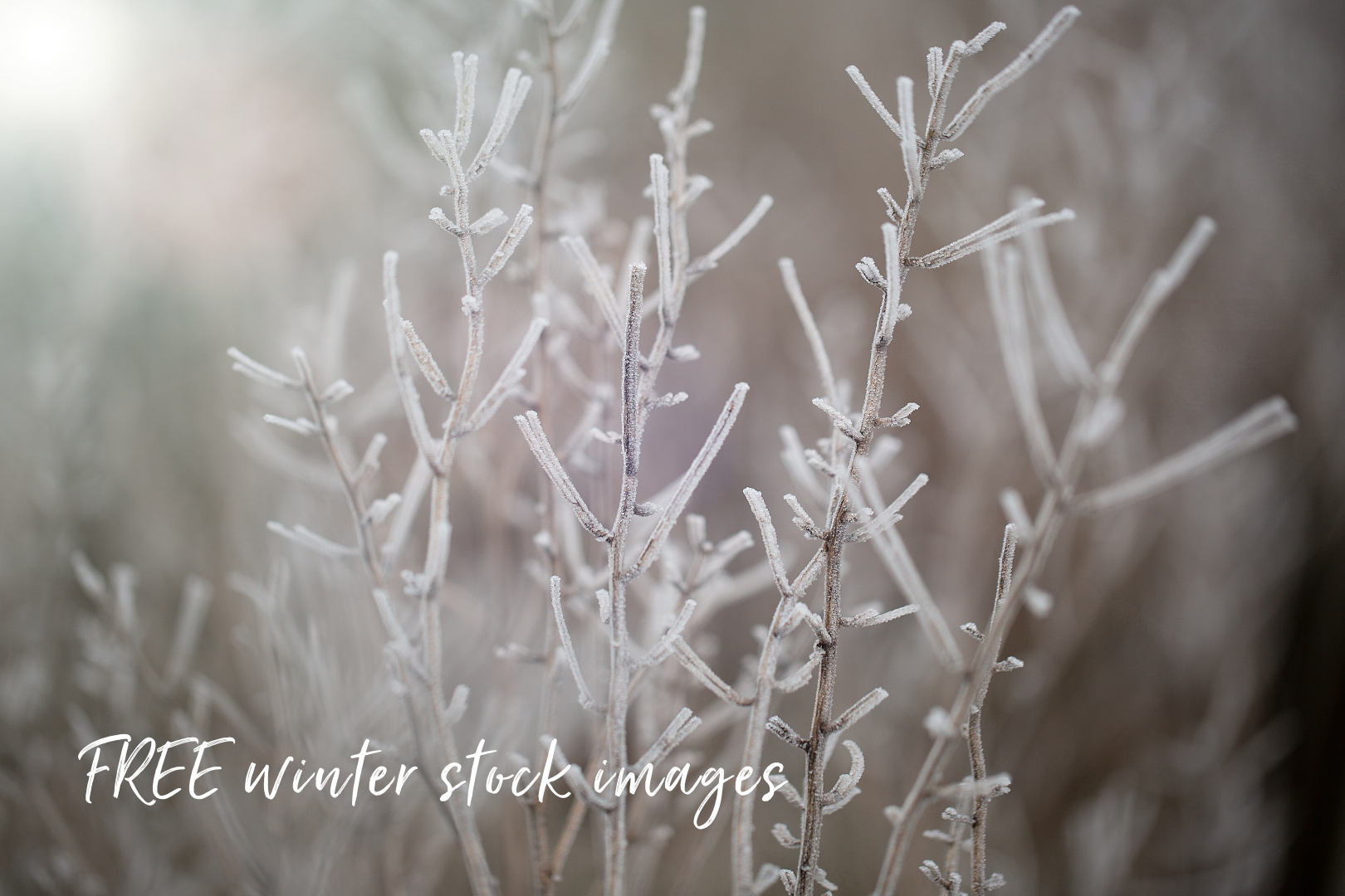 Free winter stock images